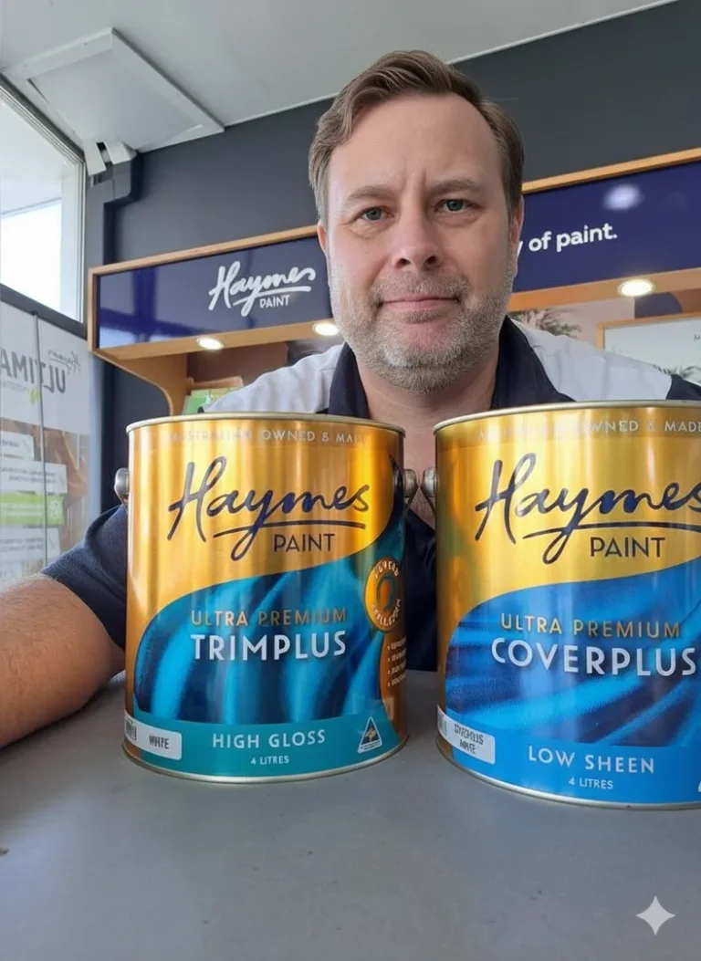 Person displaying Haymes paint cans in store.